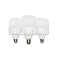 LED T BULBS