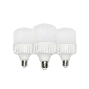 LED T BULBS