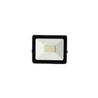 LED FLOOD LIGHT